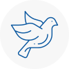Bird Prevention Chadwell Heath