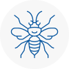 Chadwell Heath Hornet Nest Removals