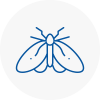 Moth Control Specialists In Chadwell Heath