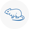 Rat Control Chadwell Heath