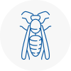 Chadwell Heath Wasp Nest Removal